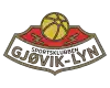 哥维克莱恩logo