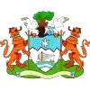 弗里敦市logo