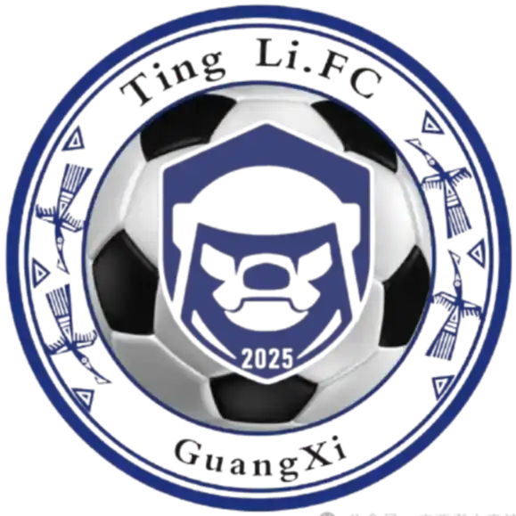 河池挺立竞技logo