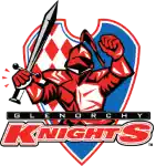 格勒诺奇骑士女足logo