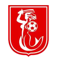 克罗伊登国王后备队logo