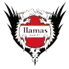 高知美洲驼logo