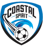 海岸精神logo